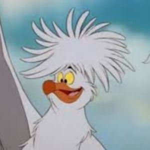 Meet your Posher, Nadia